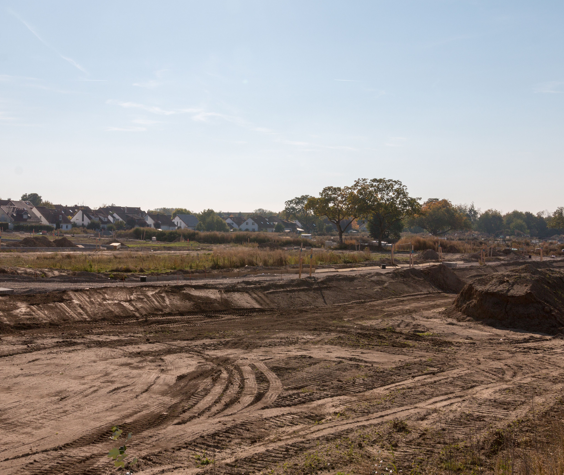 dirt field